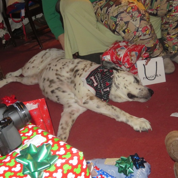 Meet your Posher, Becky - Picture 1 of 1